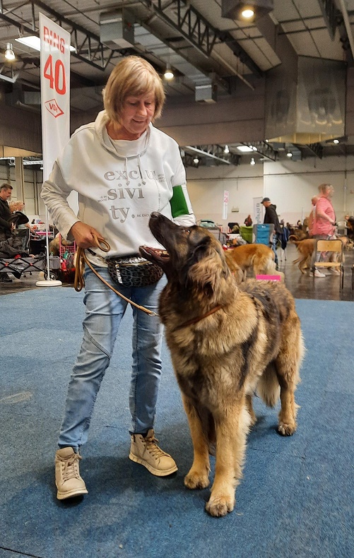 Dortmund Internationale Mai25